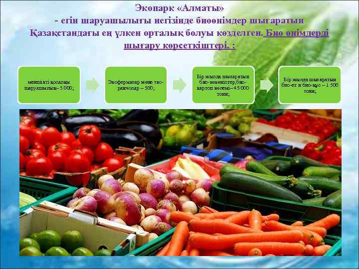 Экопарк «Алматы» - егін шаруашылығы негізінде биоөнімдер шығаратын Қазақстандағы ең үлкен орталық болуы көзделген.
