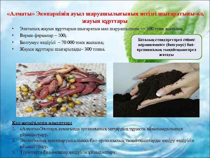  «Алматы» Экопаркінің ауыл шаруашылығының негізгі шығаратыны-ол, жауын құрттары • • Элиталық жауын құрттарын