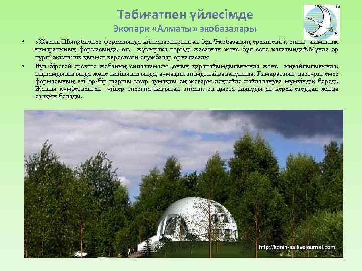 Табиғатпен үйлесімде Экопарк «Алматы» экобазалары • • «Жасыл-Шың» бизнес форматында ұйымдастырылған бұл Экобазаның ерекшелігі,