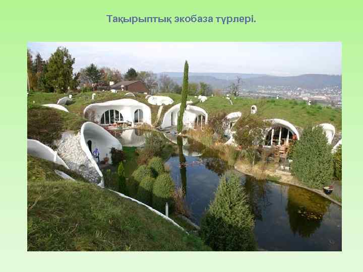 Тақырыптық экобаза түрлері. 