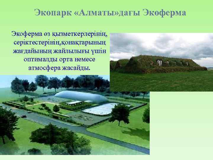 Экопарк «Алматы» дағы Экоферма өз қызметкерлерінің, серіктестерінің, қонақтарының жағдайының жайлылығы үшін оптималды орта немесе