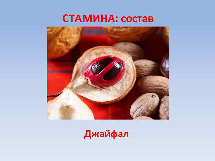 СТАМИНА: состав Джайфал 