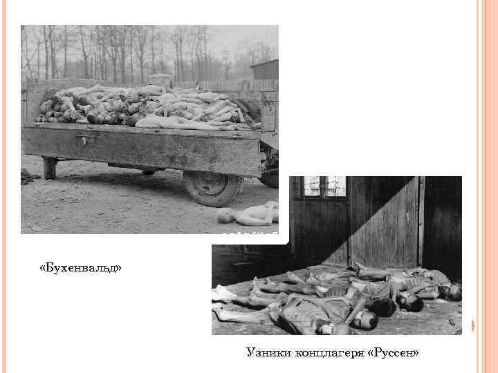  «Бухенвальд» Узники концлагеря «Руссен» 