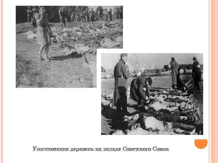 Уничтожение деревень на западе Советского Союза 