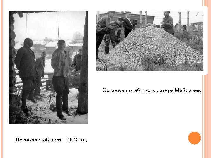 Останки погибших в лагере Майданек Псковская область, 1942 год 