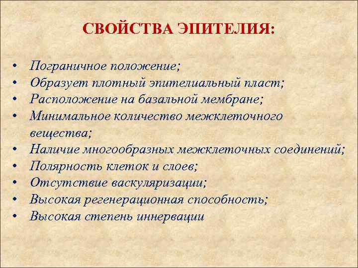 СВОЙСТВА ЭПИТЕЛИЯ: • • • Пограничное положение; Образует плотный эпителиальный пласт; Расположение на базальной