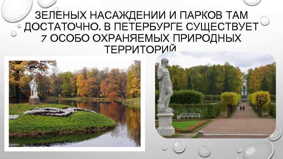 ЗЕЛЕНЫХ НАСАЖДЕНИИ И ПАРКОВ ТАМ ДОСТАТОЧНО. В ПЕТЕРБУРГЕ СУЩЕСТВУЕТ 7 ОСОБО ОХРАНЯЕМЫХ ПРИРОДНЫХ ТЕРРИТОРИЙ.