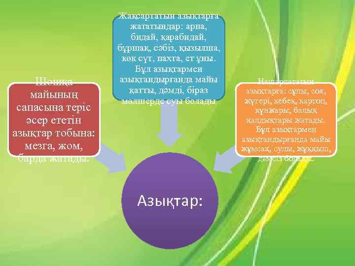 Шошқа майының сапасына теріс әсер ететін азықтар тобына: мезга, жом, барда жатады. Жақсартатын азықтарға