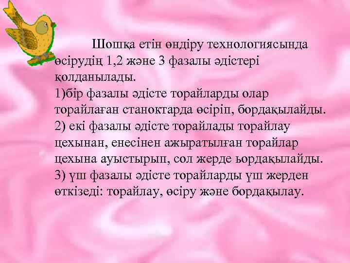  Шошқа етін өндіру технологиясында өсірудің 1, 2 және 3 фазалы әдістері қолданылады. 1)бір