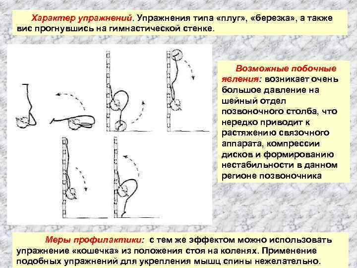 Характер упражнений. Упражнения типа «плуг» , «березка» , а также вис прогнувшись на гимнастической