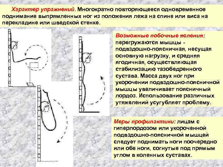 Характер упражнений. Многократно повторяющееся одновременное поднимание выпрямленных ног из положения лежа на спине или