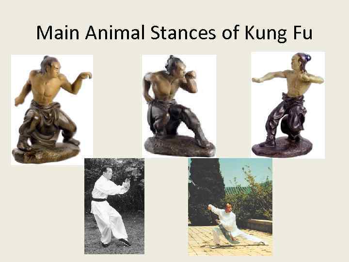 Main Animal Stances of Kung Fu 