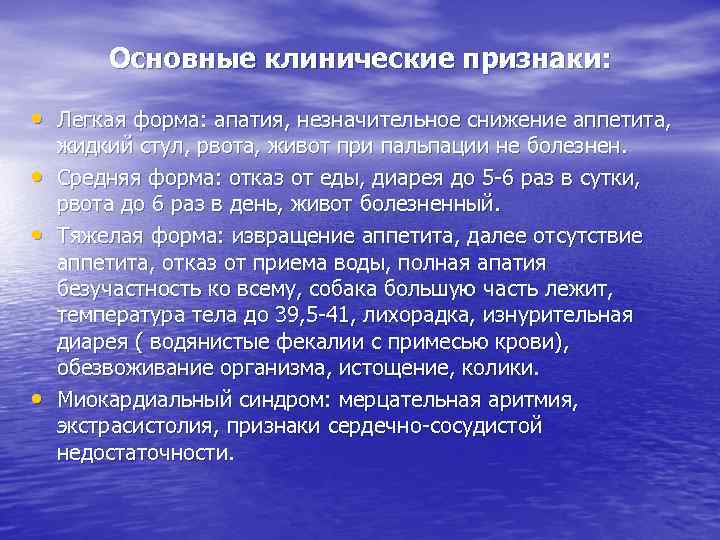 Основные клинические признаки: • Легкая форма: апатия, незначительное снижение аппетита, • • • жидкий