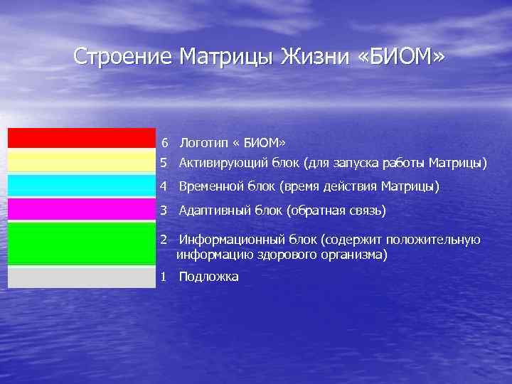 Строение Матрицы Жизни «БИОМ» 6 Логотип « БИОМ» 5 Активирующий блок (для запуска работы