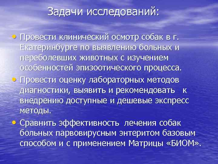Задачи исследований: • Провести клинический осмотр собак в г. • • Екатеринбурге по выявлению