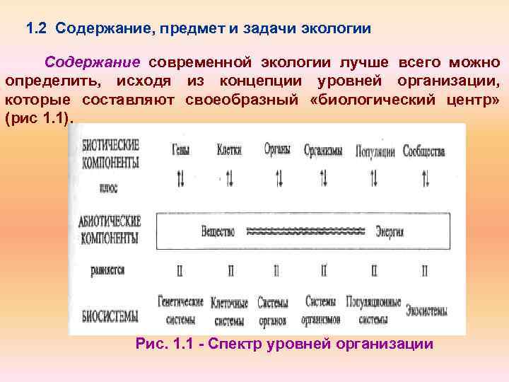 1. 2 Содержание, предмет и задачи экологии Содержание современной экологии лучше всего можно определить,