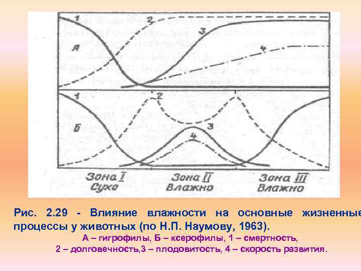 Рис. 2. 29 Влияние влажности на основные жизненные процессы у животных (по Н. П.