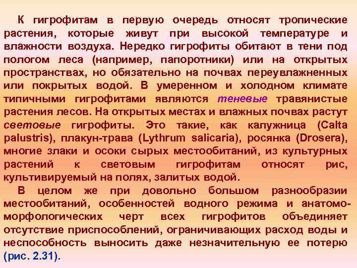 К гигрофитам в первую очередь относят тропические растения, которые живут при высокой температуре и