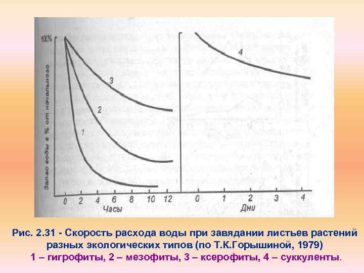 Рис. 2. 31 Скорость расхода воды при завядании листьев растений разных экологических типов (по