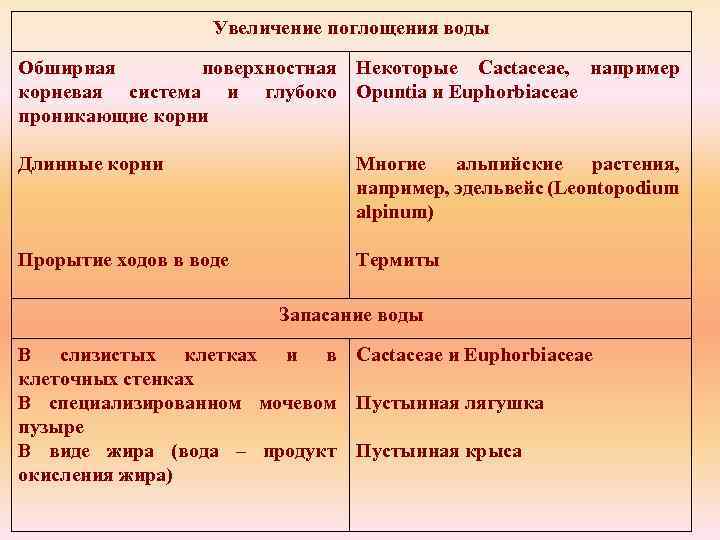 Увеличение поглощения воды Обширная поверхностная Некоторые Cactaceae, например корневая система и глубоко Opuntia и