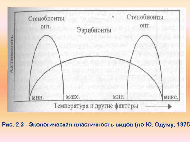 Рис. 2. 3 Экологическая пластичность видов (по Ю. Одуму, 1975) 