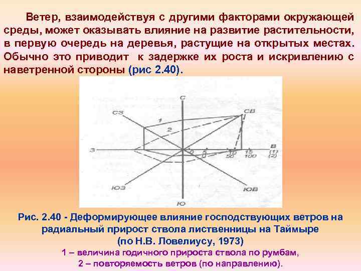 Ветер, взаимодействуя с другими факторами окружающей среды, может оказывать влияние на развитие растительности, в