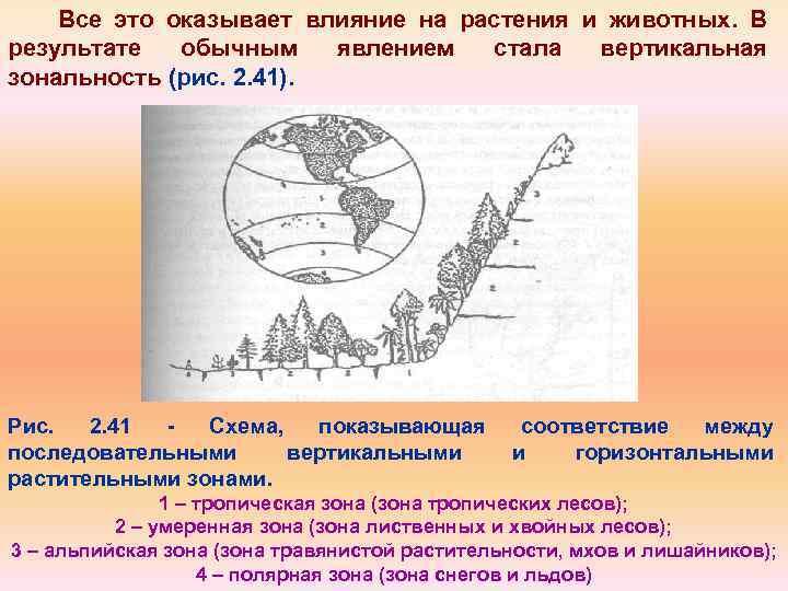Все это оказывает влияние на растения и животных. В результате обычным явлением стала вертикальная