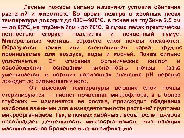 Лесные пожары сильно изменяют условия обитания растений и животных. Во время пожара в хвойных