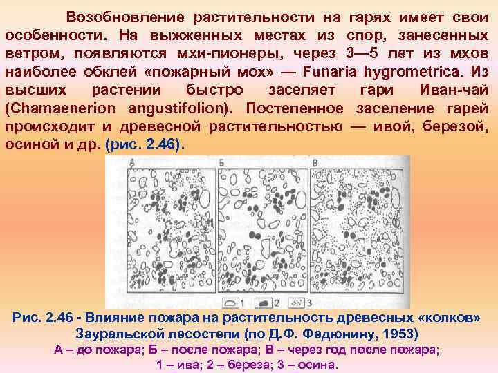 Возобновление растительности на гарях имеет свои особенности. На выжженных местах из спор, занесенных ветром,