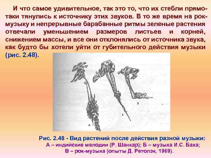 И что самое удивительное, так это то, что их стебли прямо таки тянулись к