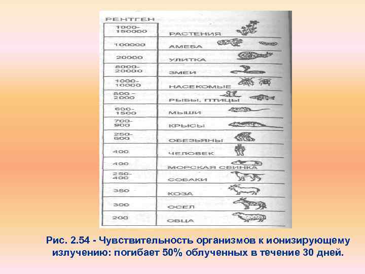 Рис. 2. 54 Чувствительность организмов к ионизирующему излучению: погибает 50% облученных в течение 30