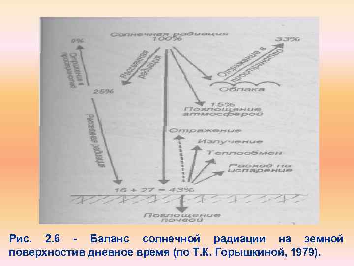 Рис. 2. 6 Баланс солнечной радиации на земной поверхностив дневное время (по Т. К.