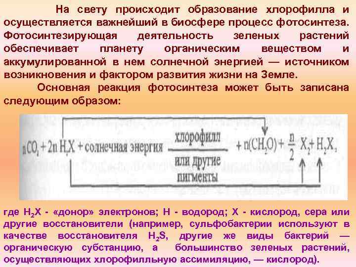 На свету происходит образование хлорофилла и осуществляется важнейший в биосфере процесс фотосинтеза. Фотосинтезирующая деятельность