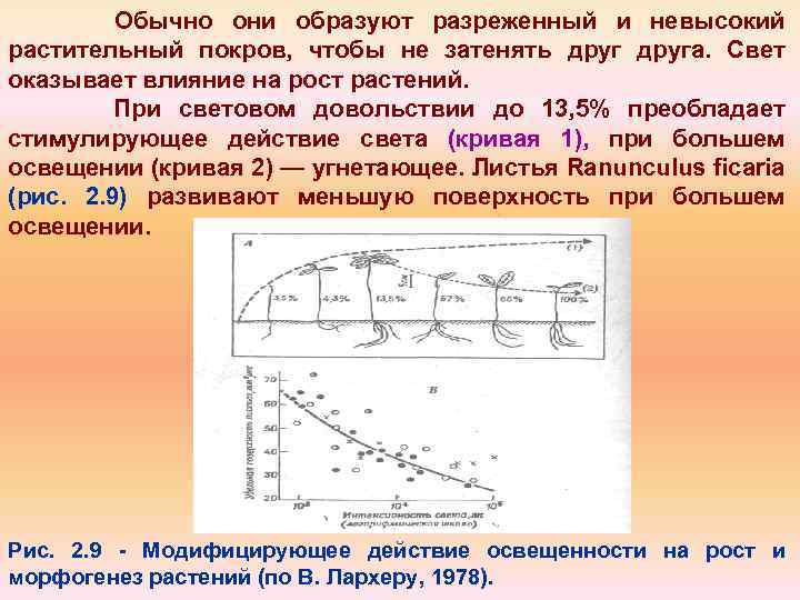 Обычно они образуют разреженный и невысокий растительный покров, чтобы не затенять друга. Свет оказывает