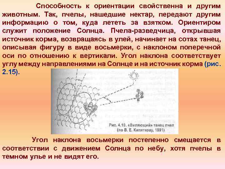 Способность к ориентации свойственна и другим животным. Так, пчелы, нашедшие нектар, передают другим информацию