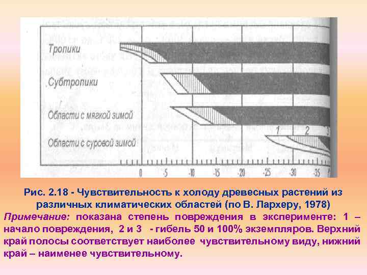 Рис. 2. 18 Чувствительность к холоду древесных растений из различных климатических областей (по В.