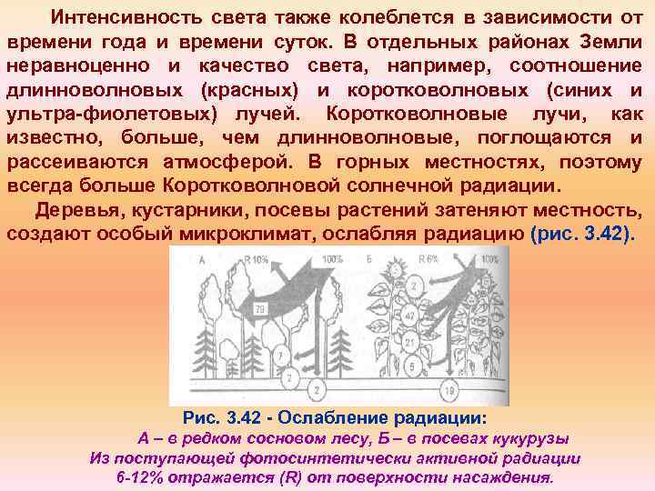 Интенсивность света также колеблется в зависимости от времени года и времени суток. В отдельных