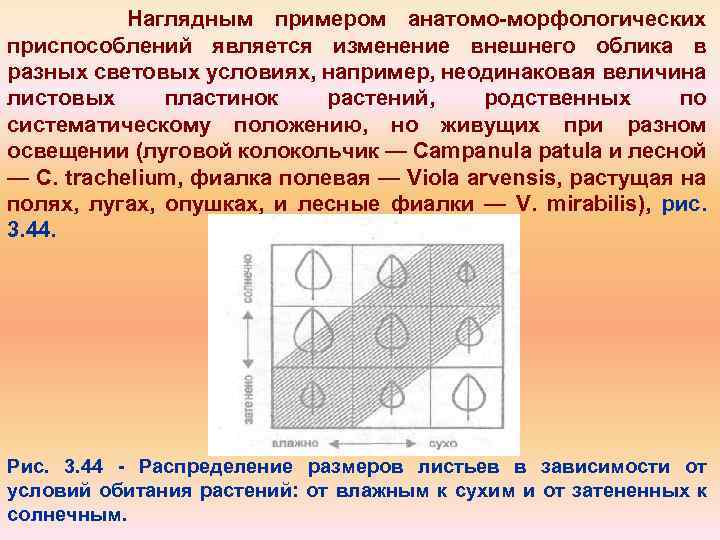 Наглядным примером анатомо морфологических приспособлений является изменение внешнего облика в разных световых условиях, например,
