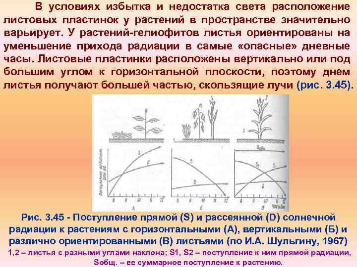В условиях избытка и недостатка света расположение листовых пластинок у растений в пространстве значительно