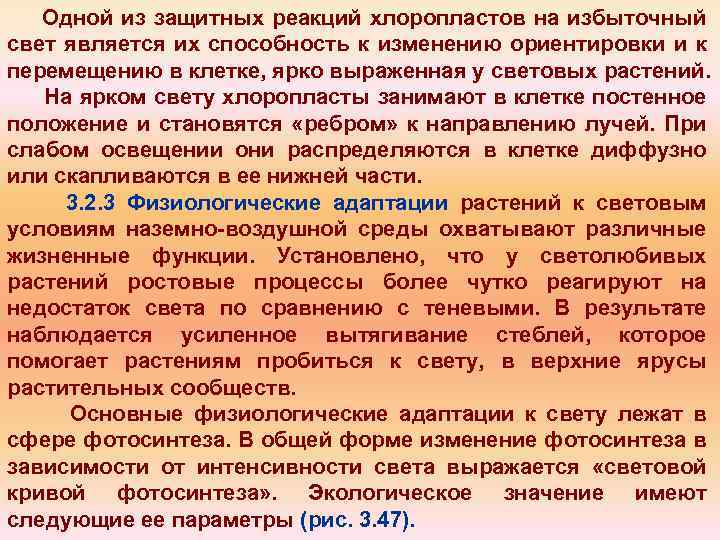 Одной из защитных реакций хлоропластов на избыточный свет является их способность к изменению ориентировки