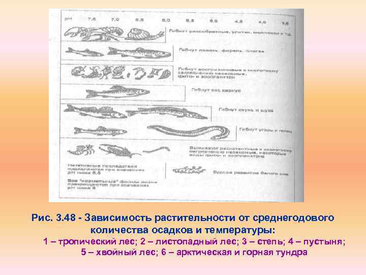 Рис. 3. 48 Зависимость растительности от среднегодового количества осадков и температуры: 1 – тропический
