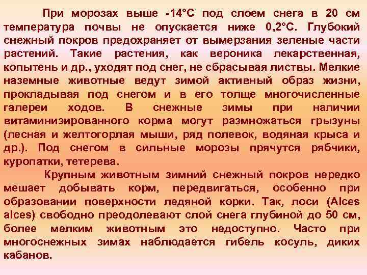 При морозах выше 14°С под слоем снега в 20 см температура почвы не опускается