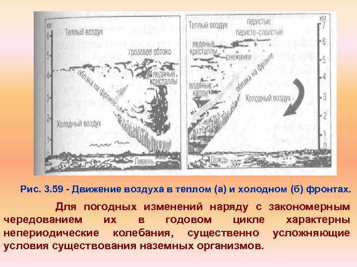Рис. 3. 59 Движение воздуха в теплом (а) и холодном (б) фронтах. Для погодных