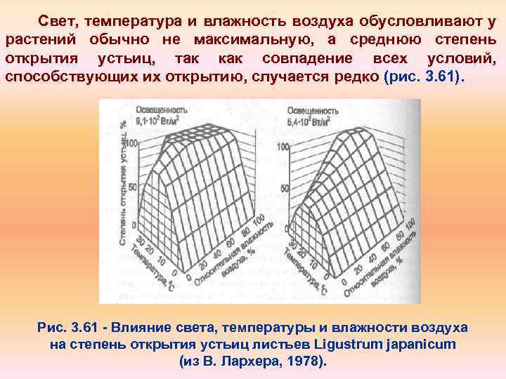 Свет, температура и влажность воздуха обусловливают у растений обычно не максимальную, а среднюю степень