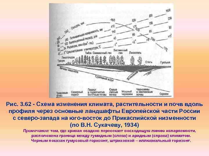 Рис. 3. 62 Схема изменения климата, растительности и почв вдоль профиля через основные ландшафты
