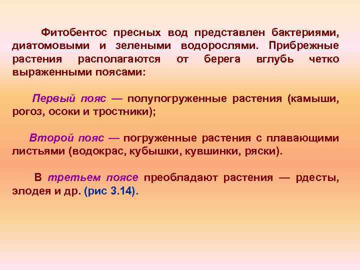 Фитобентос пресных вод представлен бактериями, диатомовыми и зелеными водорослями. Прибрежные растения располагаются от берега