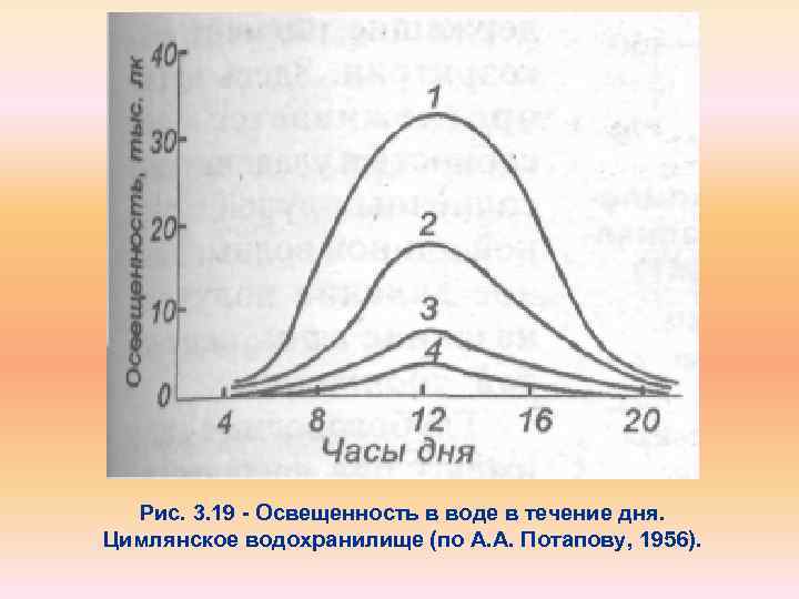 Рис. 3. 19 Освещенность в воде в течение дня. Цимлянское водохранилище (по А. А.