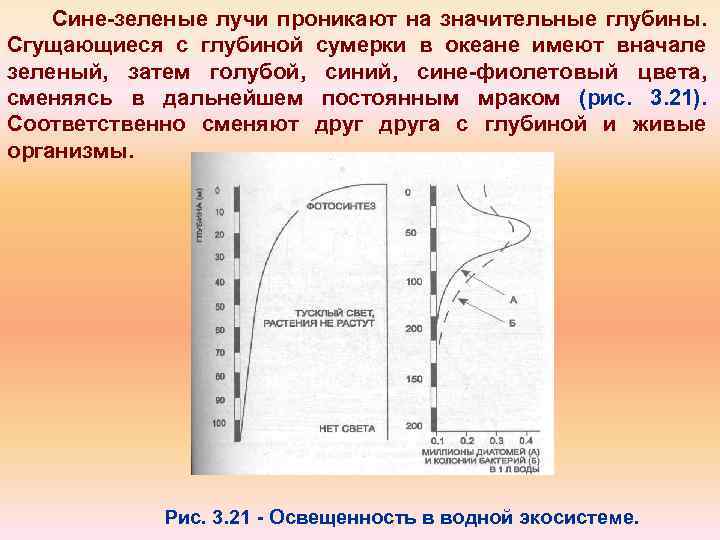 Сине зеленые лучи проникают на значительные глубины. Сгущающиеся с глубиной сумерки в океане имеют