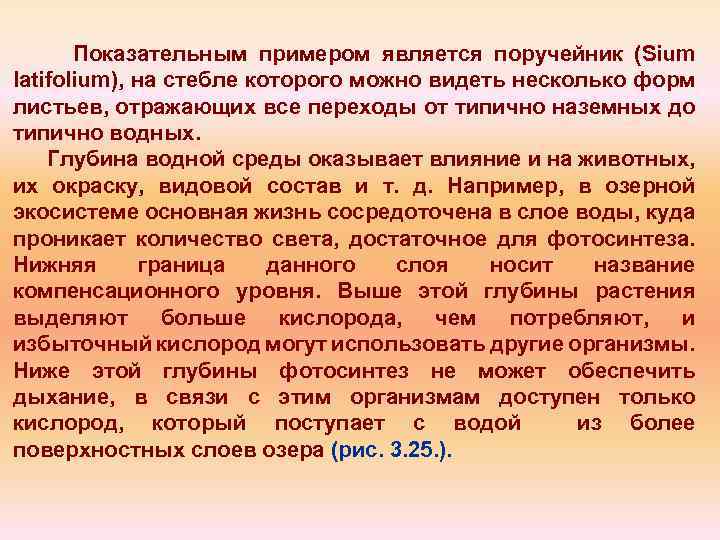 Показательным примером является поручейник (Sium latifolium), на стебле которого можно видеть несколько форм листьев,