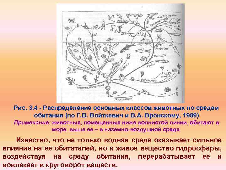 Рис. 3. 4 Распределение основных классов животных по средам обитания (по Г. В. Войткевич